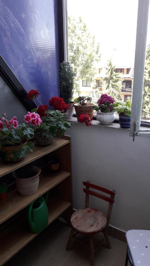Annika Apartman Eger Exterior photo